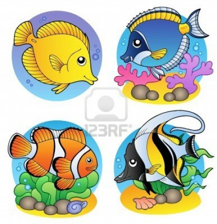 Los peces son animales vertebrados acuáticos, generalmente ectotérmicos